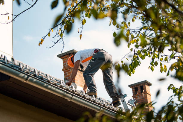 Best Roof Gutter Cleaning  in Red Bank, NJ